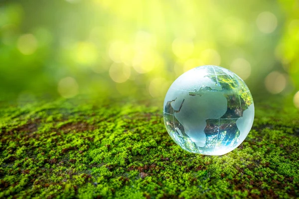 Globo Vidro Conceito Dia Terra Salvar Mundo Salvar Meio Ambiente — Fotografia de Stock