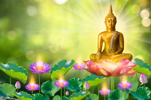 Buddha Statue Wasserlotus Buddha Steht Auf Lotusblume Auf Orangefarbenem Hintergrund — Stockfoto