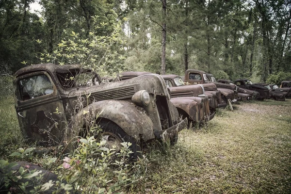 Дорожные ржавые старые грузовики и автомобили во Флориде — стоковое фото