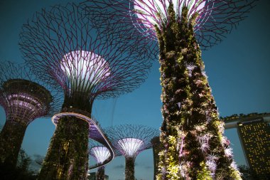 Singapur, körfezin yanında bahçeler, Marina Körfezi kumları. Park gece performans ışık gösterisi süper ağaçlar zonklama aydınlatılmış