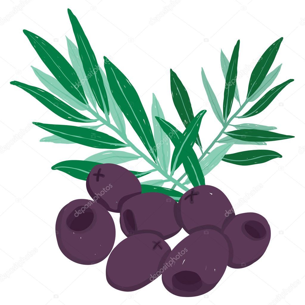 Vector painterly set with black olives and green branch; editable, scalable illustration, isolated on a white background. Use it for recipes, restaurant menus and as food elements.