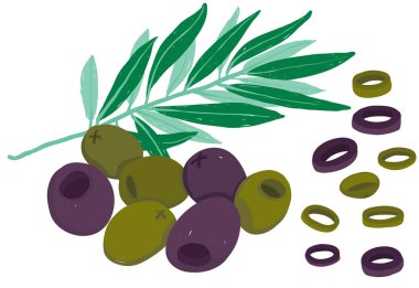 Vektör tablomsu siyah ve yeşil zeytin zeytin dalı ve dilim bit ile ayarla; beyaz bir arka plan üzerinde izole. Yemek tarifleri, restoran menüleri ve besin öğeleri olarak kullanın.