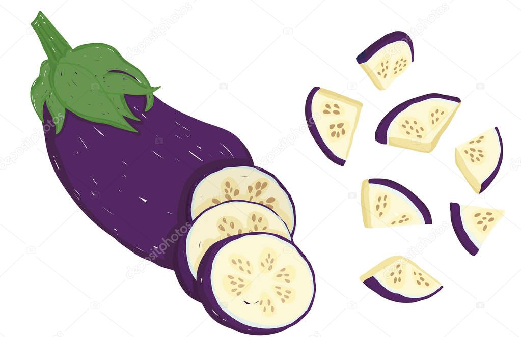 Vector painterly set with whole eggplant, sliced and chopped; editable, scalable illustration, isolated on a white background. Use it for recipes, restaurant menus and as food elements.