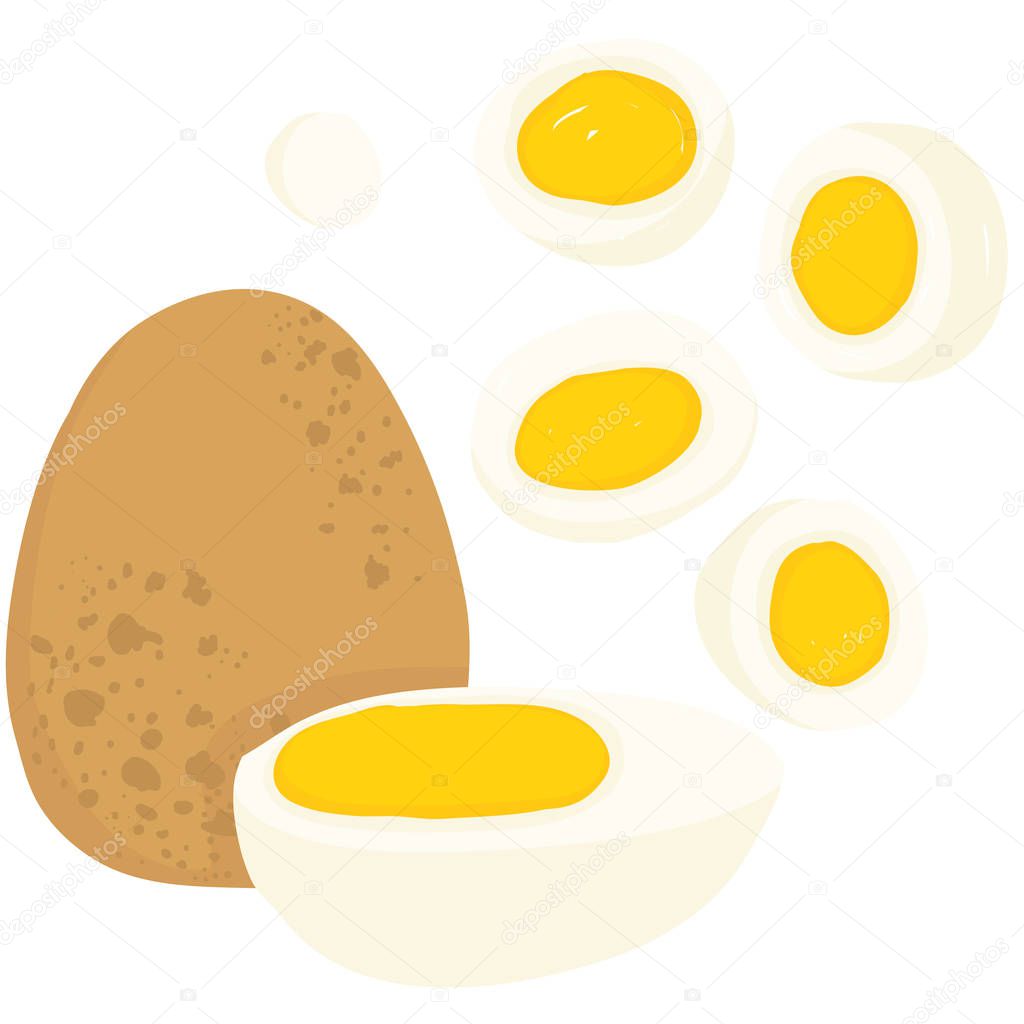 Vector painterly set with whole egg,halved hard boiled egg and sliced; editable, scalable illustration, isolated on a white background. Use it for recipes, restaurant menus and as food elements.