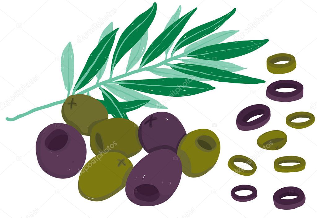 Vector painterly set with black and green olives with olive branch and slice bits; isolated on a white background. Use it for recipes, restaurant menus and as food elements.