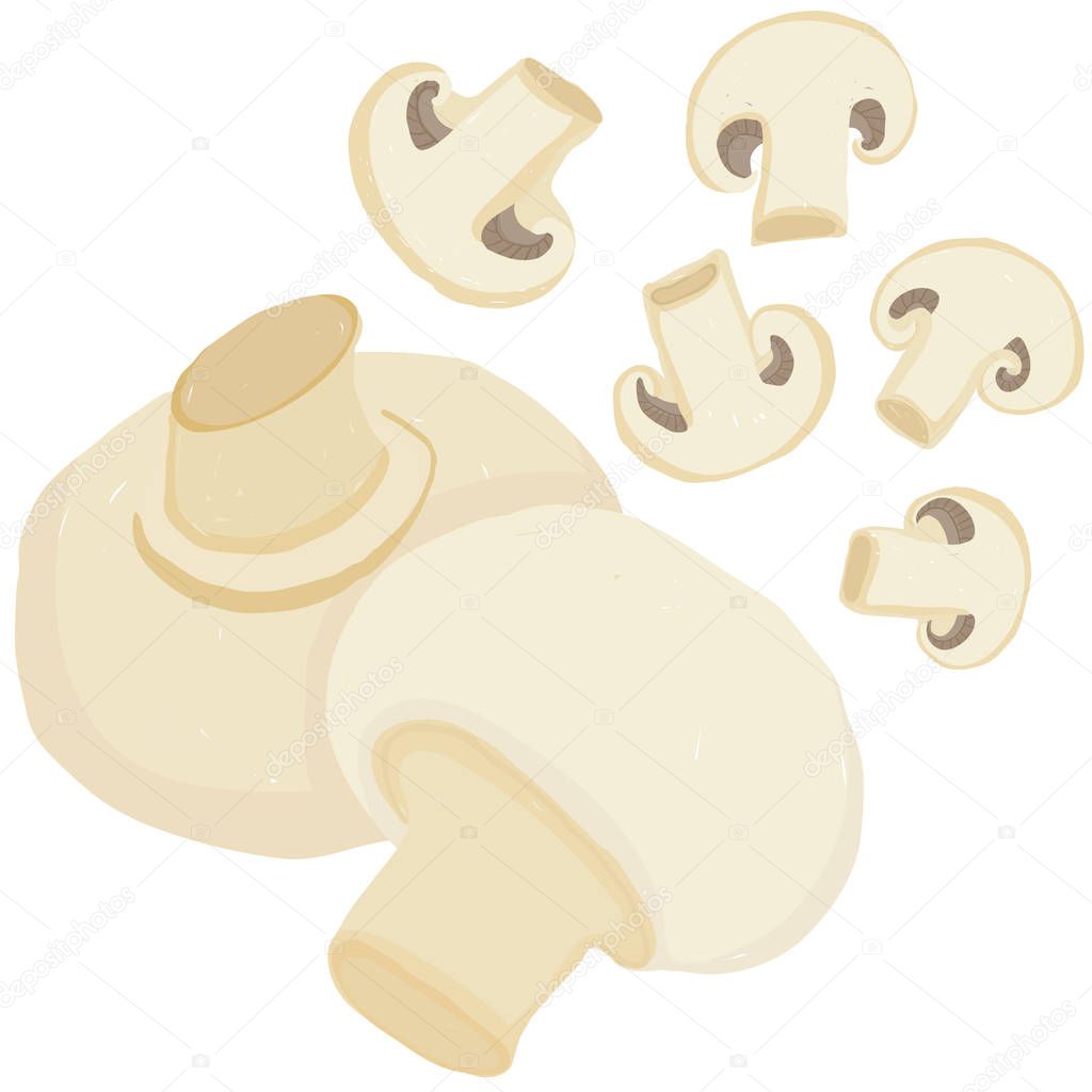 Vector painterly set with whole mushrooms and halved ones; editable, scalable illustration, isolated on a white background. Use it for recipes, restaurant menus and as food elements.