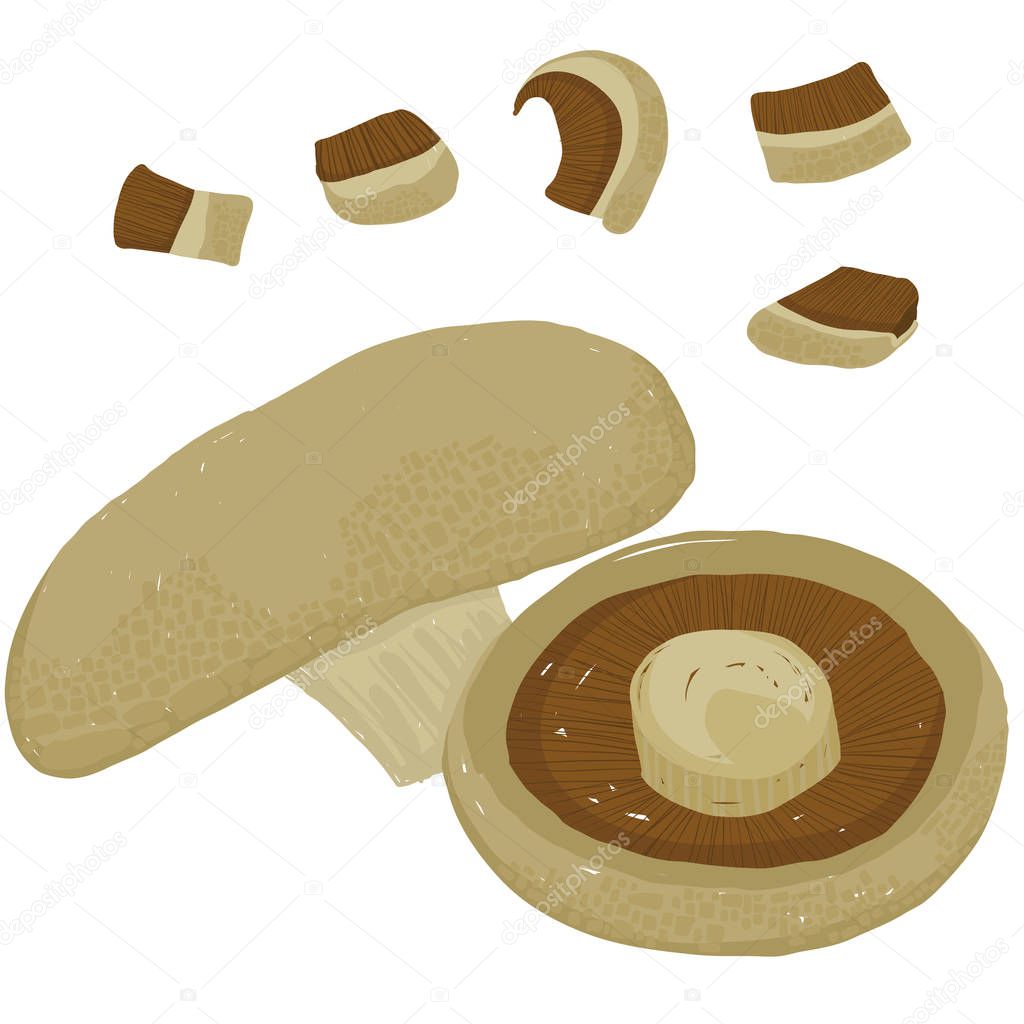 Vector painterly set with Portobello mushroom, whole and chopped; editable, scalable illustration, isolated on a white background. Use it for recipes, restaurant menus and as food elements.