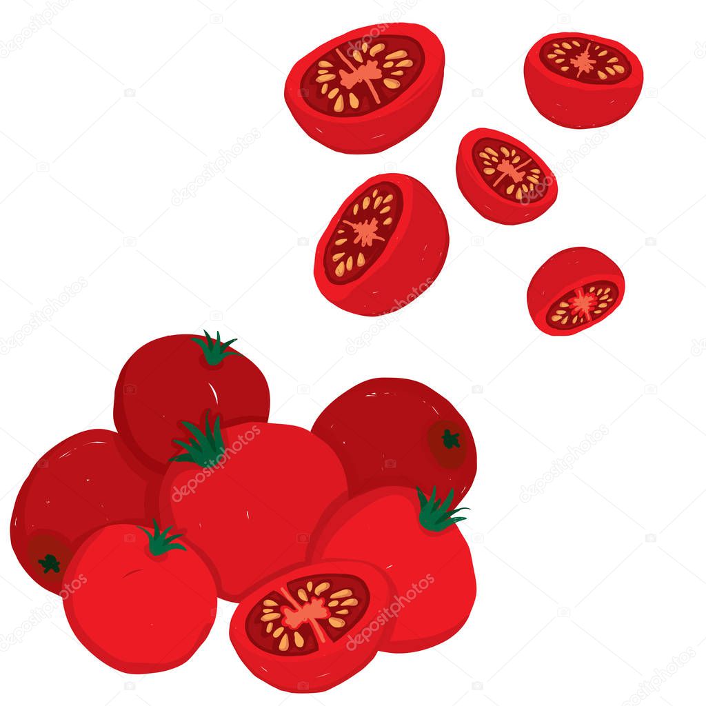 Painterly vector set of cherry tomatoes, raw and sliced. Editable, scalable illustration isolated on a white background. Use it for recipes, restaurant menus and as food elements.