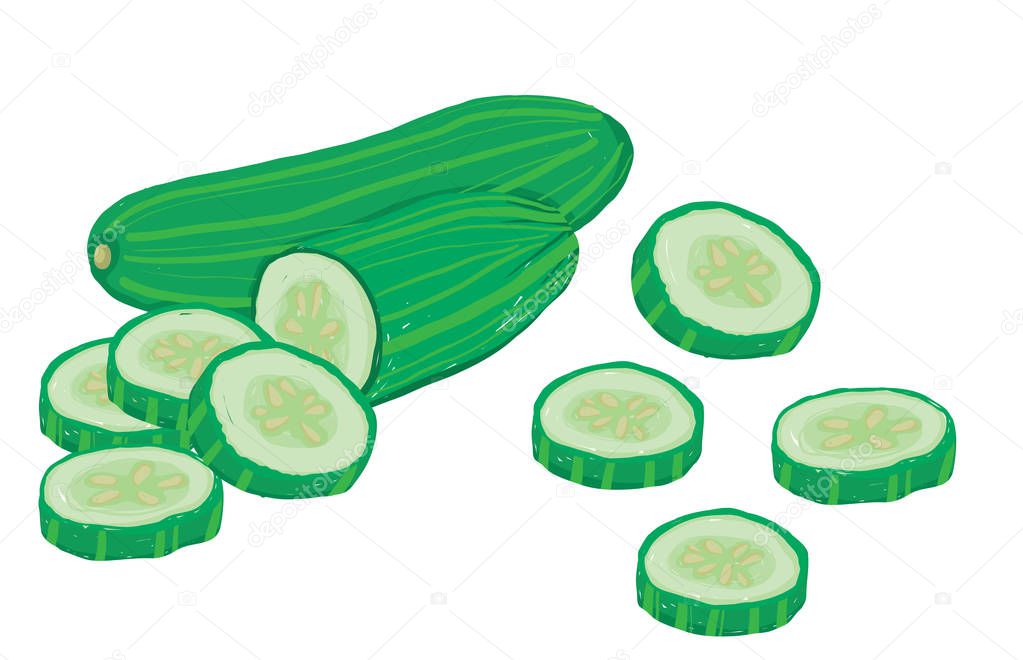 Vector painterly set of cucumbers, raw and sliced. Editable, scalable illustration isolated on a white background. Use it for recipes, restaurant menus and as food elements.