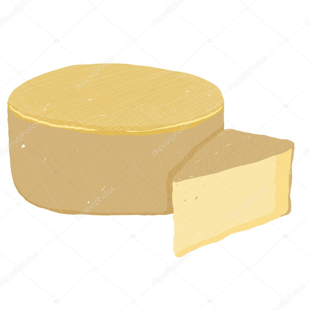 Vector painterly set of parmesan cheese, whole and sliced. Editable, scalable illustration isolated on a white background. Use it for recipes, restaurant menus and as food elements.