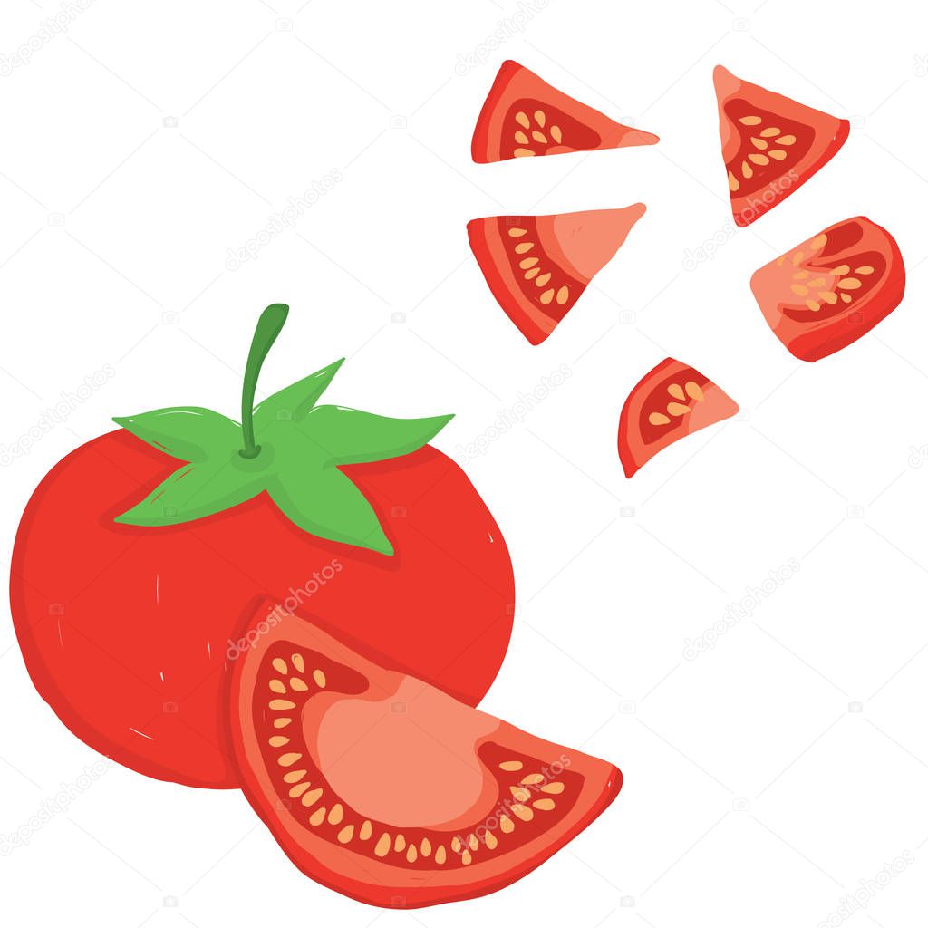 Painterly vector set of tomatoes, raw and sliced. Editable, scalable illustration isolated on a white background. Use it for recipes, restaurant menus and as food elements.