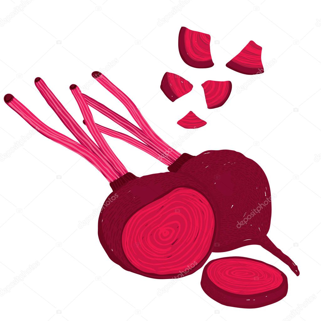 Vector painterly set of beets, beetroot, raw and cut. Editable, scalable illustration isolated on a white background. Use it for recipes, restaurant menus and as food elements.
