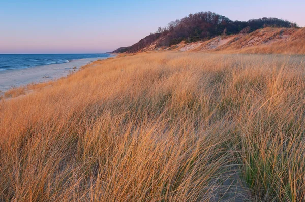 Summer landscape of beach grasses and shoreline of Lake Michigan near sunset, Saugatuck Dunes State Park, Michigan, USA