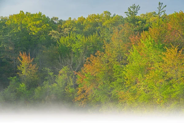 Foggy Spring Landscape Sunrise Shoreline Long Lake Yankee Springs State — Stock Photo, Image