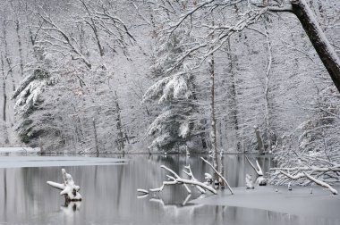 Hall Gölü kıyılarındaki kar manzarası sakin sulardaki yansımalarla dolup taştı, Yankee Springs State Park, Michigan, ABD