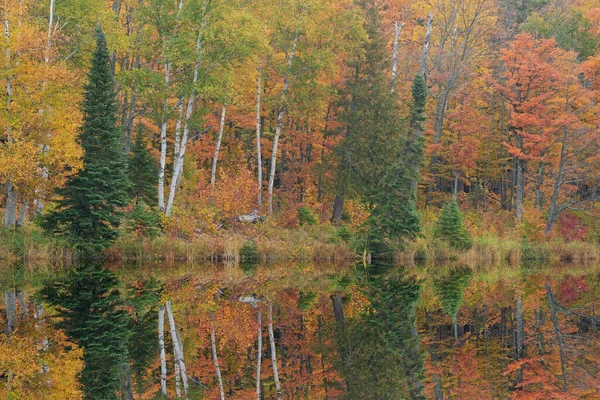 Autumn Landscape Shoreline Alberta Lake Mirrored Reflections Calm Water Ottawa — Stock Photo, Image