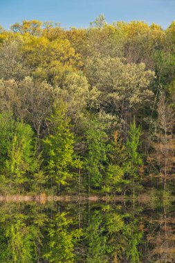 Long Lake kıyılarının şafağında bahar manzarası sakin sularda yansıyan yansımalarla, Yankee Springs State Park, Michigan, Usa