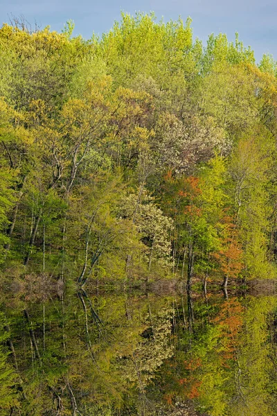 Tavaszi Táj Hajnalban Partvonal Long Lake Tükrözött Tükröződik Nyugodt Vízben — Stock Fotó