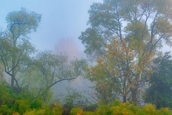 Foggy Höst Landskap Vid Soluppgången Stranden Whitford Lake Fort Custer — Stockfoto