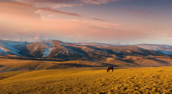 Тянь Шаньские Горы Алматы Казахстан Центральная Азия — стоковое фото