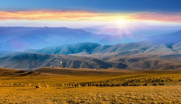 Tien Shan Gebirge Almaty Kasachstan Zentralasien — Stockfoto