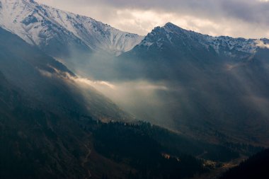 Kazakistan 'da dağlar ve ağaçlarla dolu güzel bir manzara.