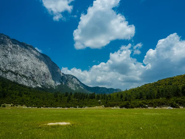 Beautiful Landscape Mountains Trees Kazakhstan — Stock Photo, Image