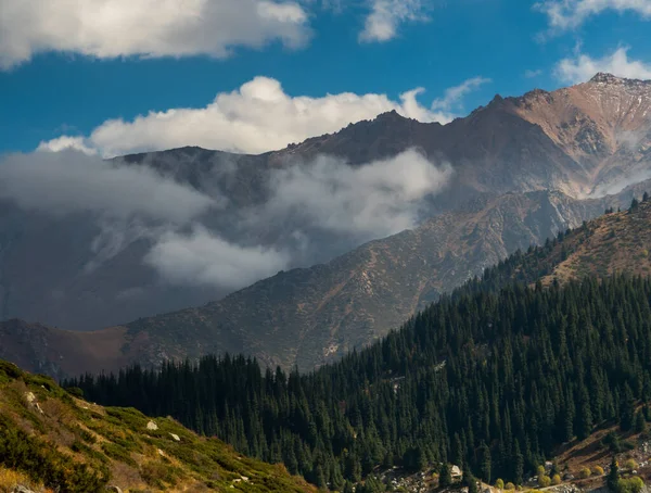 Hermoso Paisaje Con Montañas Árboles Kazajstán — Foto de Stock