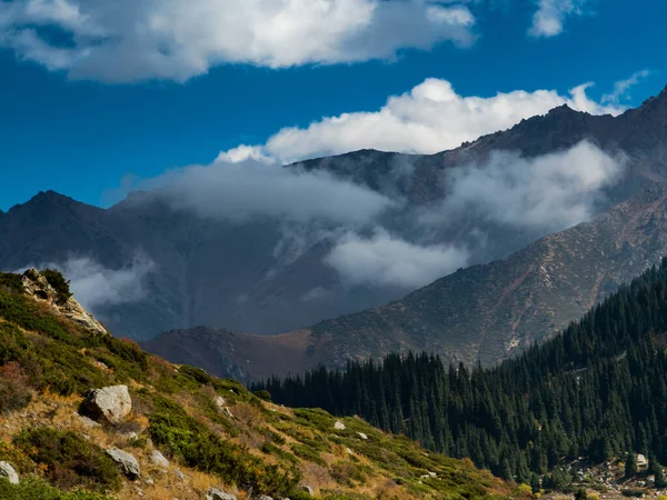 Hermoso Paisaje Con Montañas Árboles Kazajstán — Foto de Stock