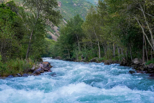 山の中の野生の川が — ストック写真