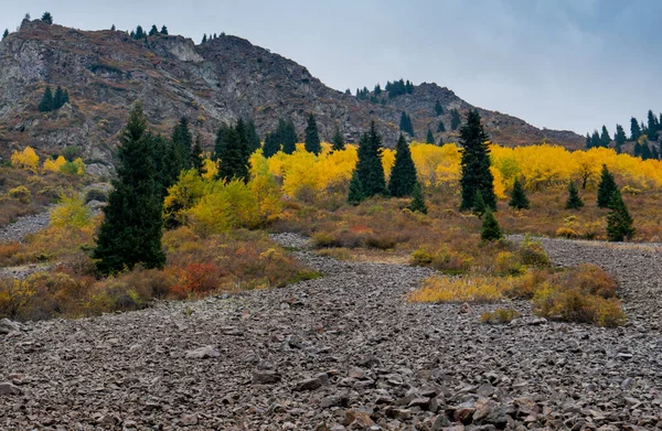 Colors Fall Almaty Mountains — Stock Photo, Image