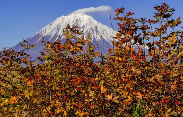 Шиповник Вулкане Горный Пейзаж — стоковое фото
