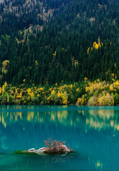 Paisagem Outono Cazaquistão Almaty — Fotografia de Stock