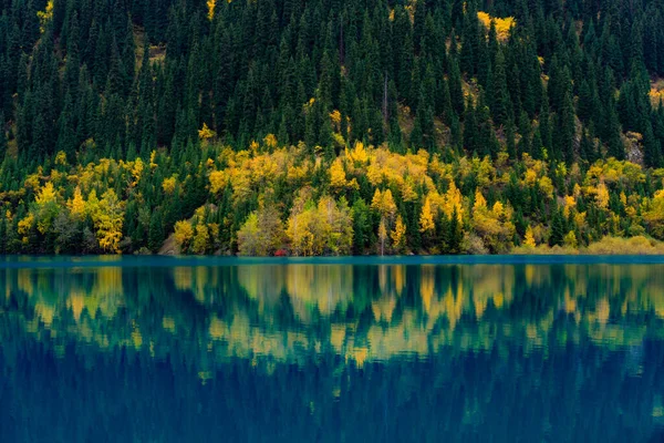 哈萨克斯坦 阿拉木图的秋季风景 — 图库照片