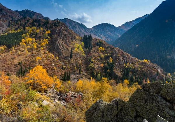 Natureza Vista Panorâmica Cazaquistão Almaty — Fotografia de Stock