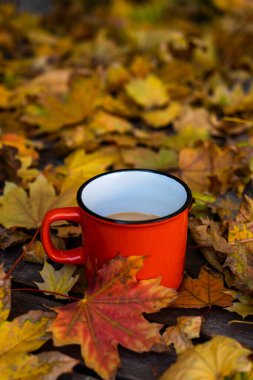 Sonbahar yapraklarında bir fincan kahve.