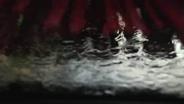 Cepillo automático limpieza de un vaso de coche — Vídeos de Stock
