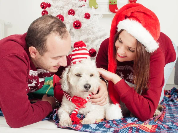 Casal feliz com cão, tudo em roupas de Natal sentado perto da árvore de Natal — Fotografia de Stock