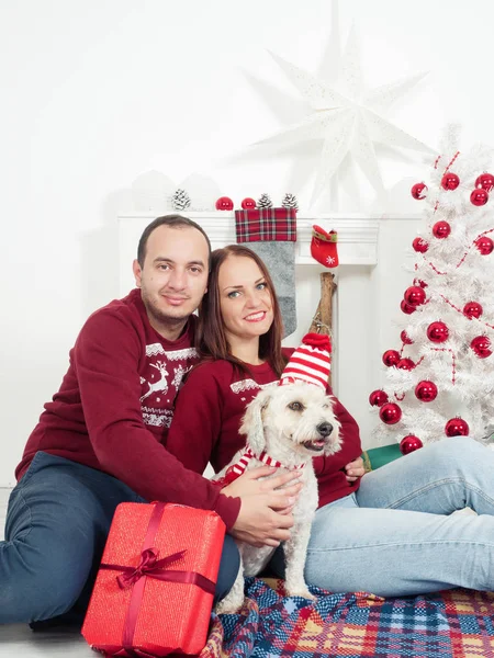 Casal feliz com cão, tudo em roupas de Natal sentado perto da árvore de Natal — Fotografia de Stock