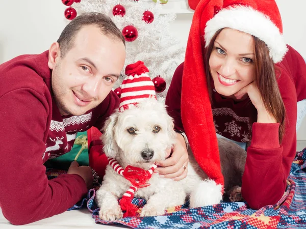 Casal feliz com cão, tudo em roupas de Natal sentado perto da árvore de Natal — Fotografia de Stock