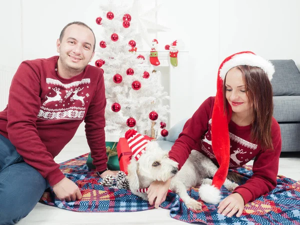 Casal feliz com cão, tudo em roupas de Natal sentado perto da árvore de Natal — Fotografia de Stock