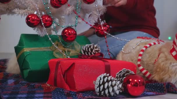 Gelukkige paar met hond, all-in kerst kleding zitten in de buurt van de kerstboom — Stockvideo