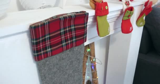 Hund med jul hatt handpåläggning soffa — Stockvideo