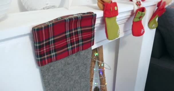 Dog with Christmas hat laying on sofa — Stock Video