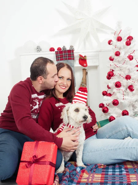 Casal feliz com cão, tudo em roupas de Natal sentado perto da árvore de Natal — Fotografia de Stock