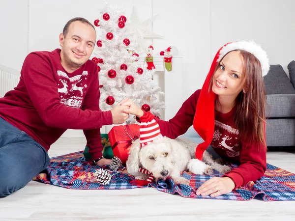 Casal feliz com cão, tudo em roupas de Natal sentado perto da árvore de Natal — Fotografia de Stock