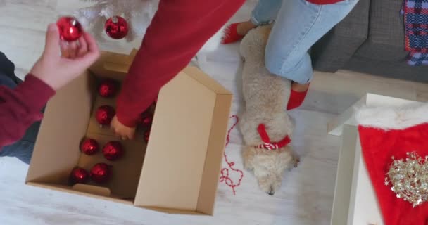 Gelukkige paar in kerst kleding versieren witte kerst boom — Stockvideo