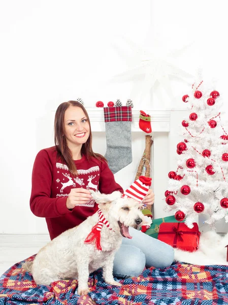 Bela mulher se divertindo com seu cão, tanto em roupas de Natal — Fotografia de Stock