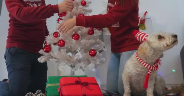 Pareja feliz con perro, todo en ropa de Navidad sentado cerca del árbol de Navidad — Vídeo de stock