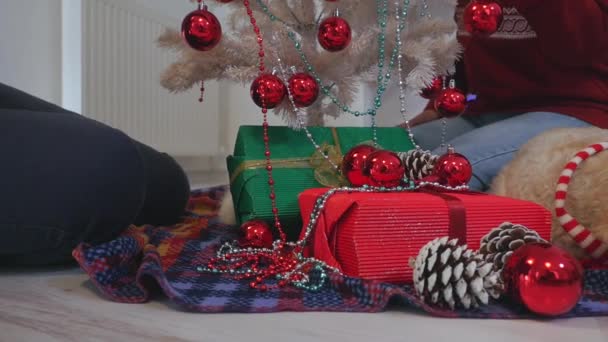 Gelukkige paar met hond, all-in kerst kleding zitten in de buurt van de kerstboom — Stockvideo